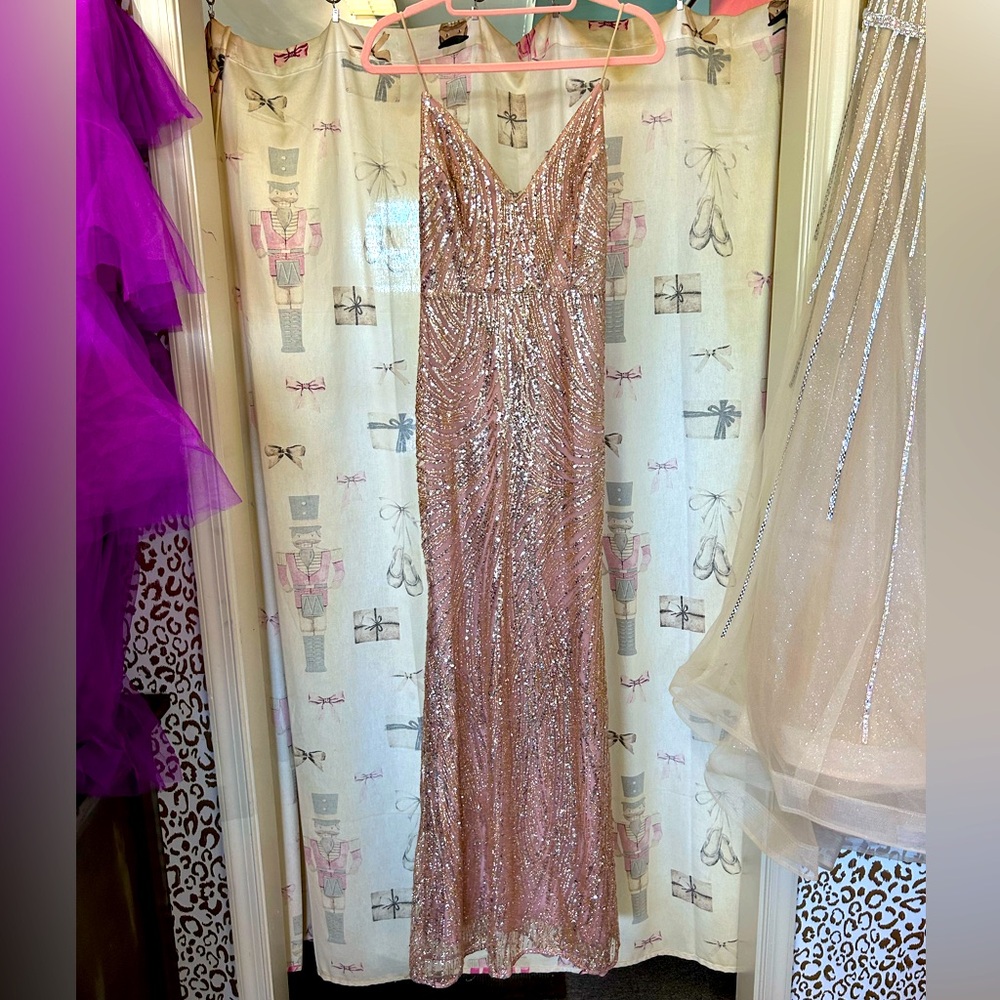 Long blush glitz dress